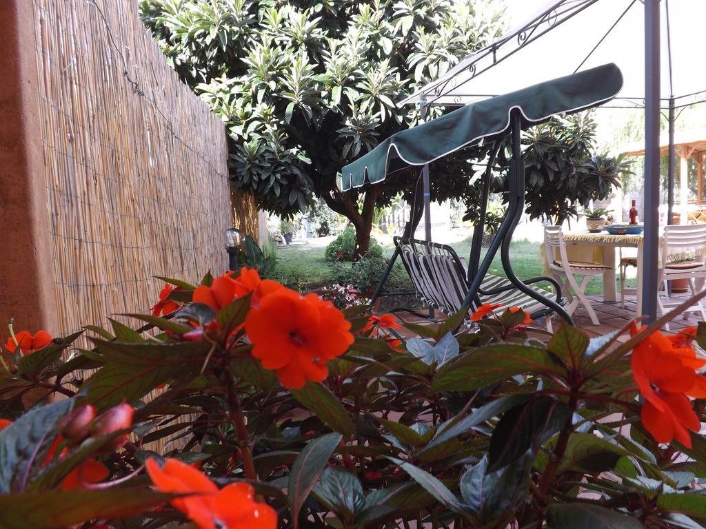 Il Noce Alghero Santa Maria la Palma Zimmer foto